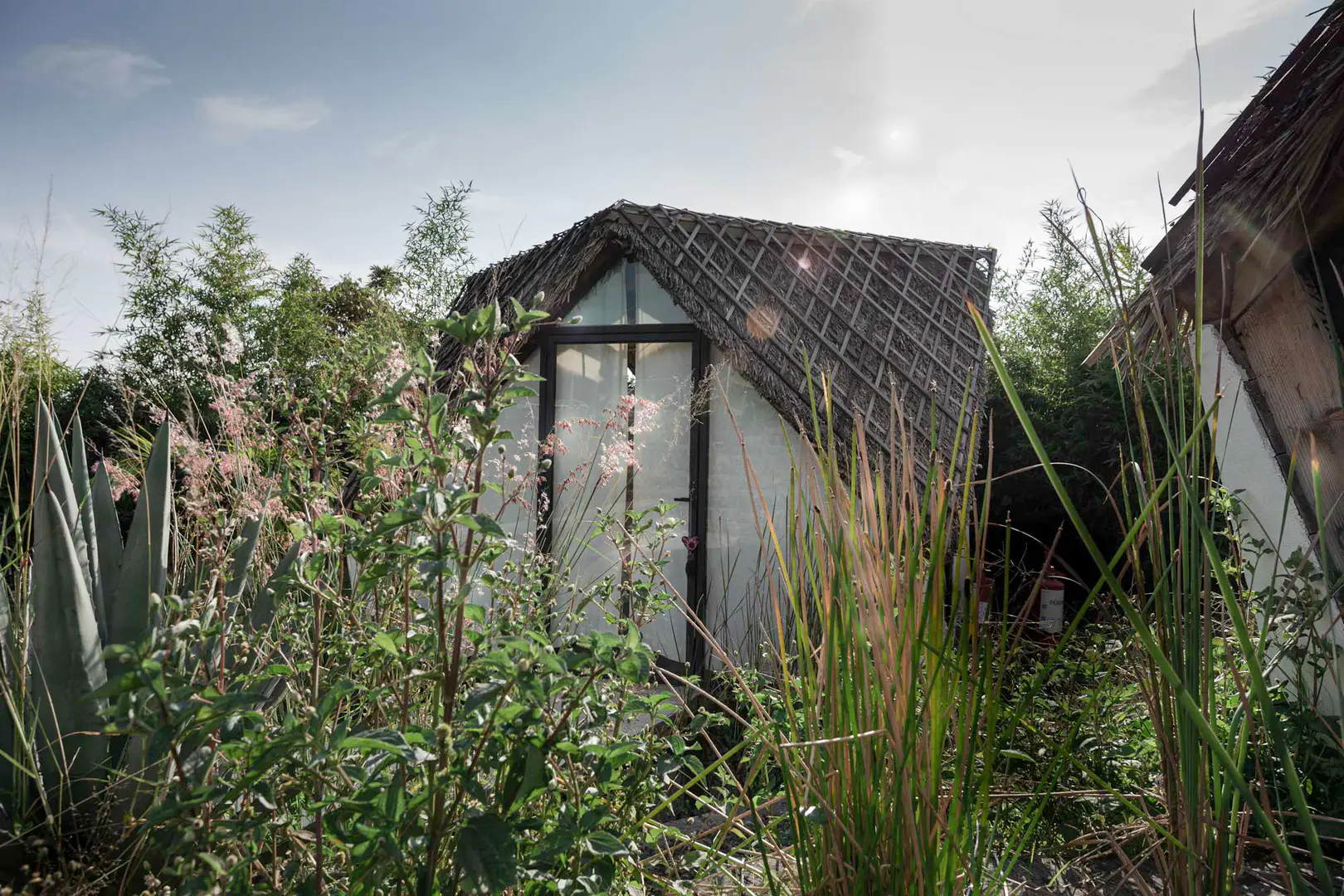 Copia de _MG_5910.webp